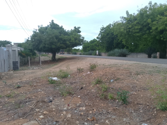 second row plots for sale in Bofa Kilifi near Kilifi Bay road frontage quarter acre and one acre land