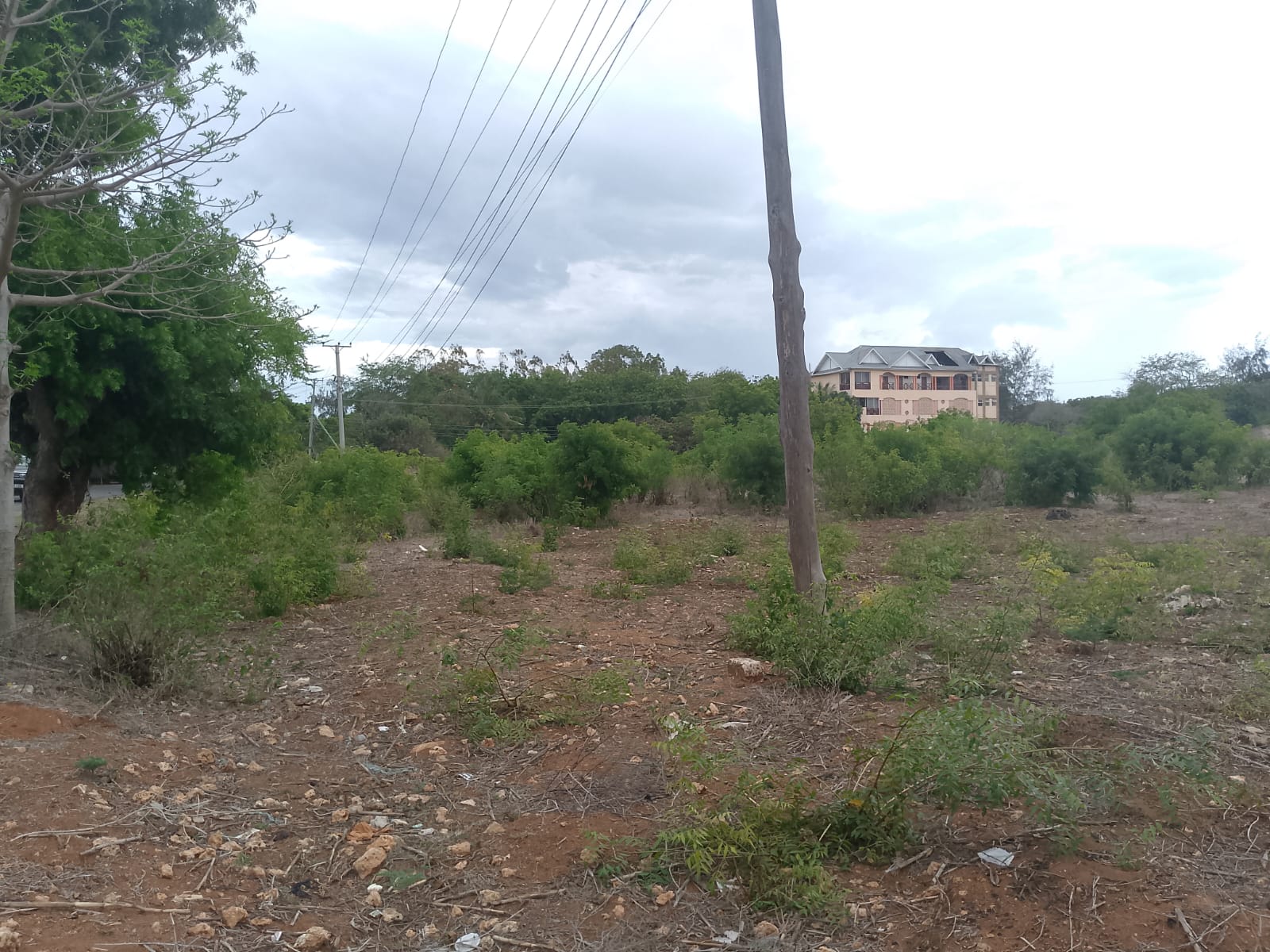 second row plots for sale in Bofa Kilifi near Kilifi Bay road frontage quarter acre and one acre land
