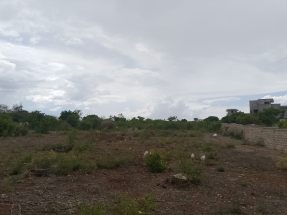 second row plots for sale in Bofa Kilifi near Kilifi Bay road frontage quarter acre and one acre land