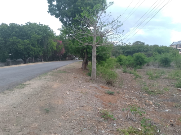 second row plots for sale in Bofa Kilifi near Kilifi Bay road frontage quarter acre and one acre land