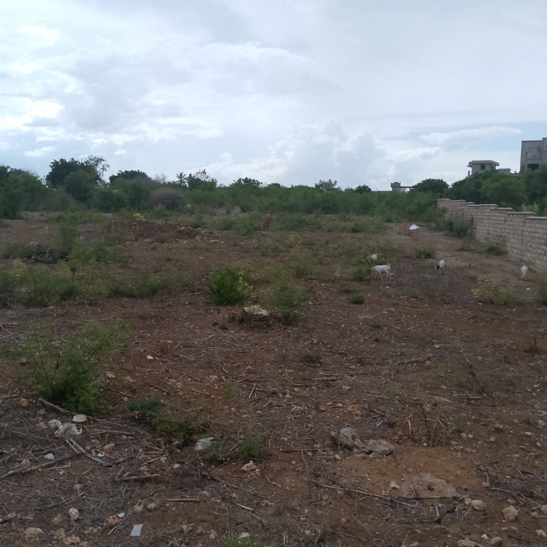 second row plots for sale in Bofa Kilifi near Kilifi Bay road frontage quarter acre and one acre land