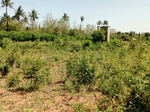 4 acres fertile land for sale in Tezo Kilifi near Mombasa Kilifi highway freehold land 2.65M per acre total 10.6M