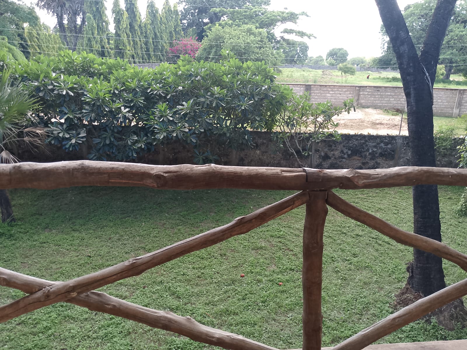 4-bedroom house for rent in Malindi near Light International School with green scenery, private compound, and flexible furnishing options.