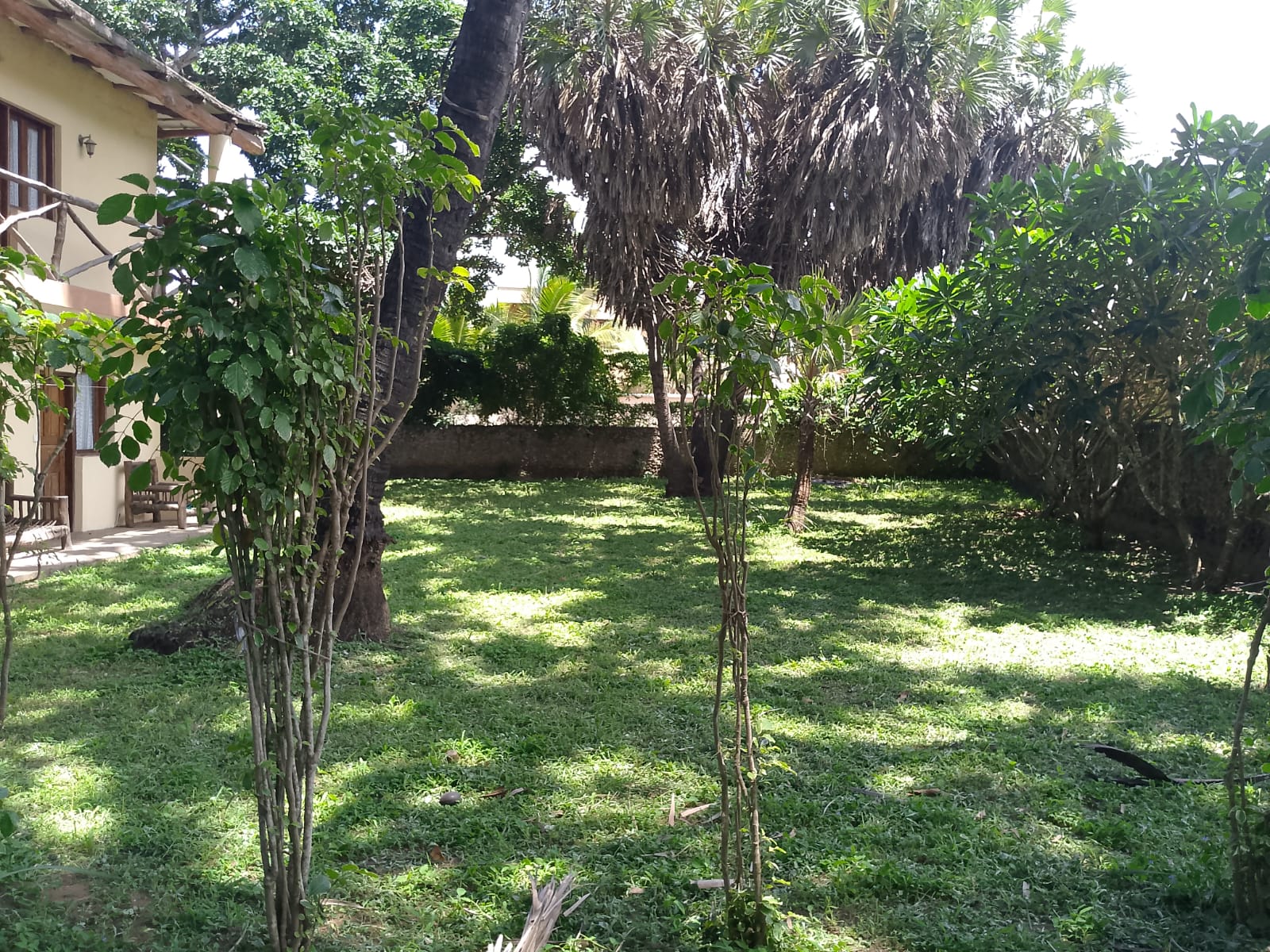 4-bedroom house for rent in Malindi near Light International School with green scenery, private compound, and flexible furnishing options.