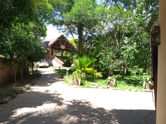 4-bedroom house for rent in Malindi near Light International School with green scenery, private compound, and flexible furnishing options.