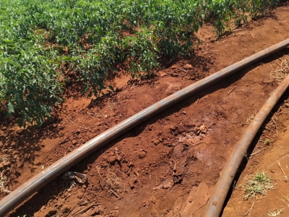 18 acres land for sale in Kimana Loitoktok at 930k per acre ideal for lodge farming or holiday homes near Amboseli