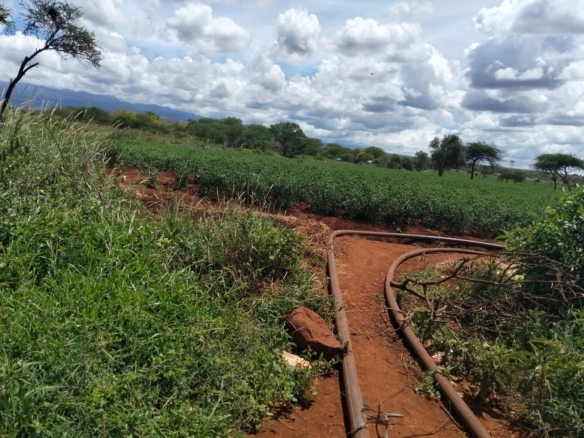 18 acres land for sale in Kimana Loitoktok at 930k per acre ideal for lodge farming or holiday homes near Amboseli