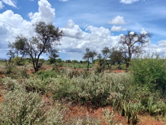 18 acres land for sale in Kimana Loitoktok at 930k per acre ideal for lodge farming or holiday homes near Amboseli