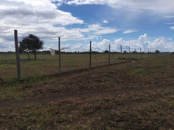 10 acres land for sale in Kimana Loitoktok with red soil near tarmac ideal for farming lodge or holiday home