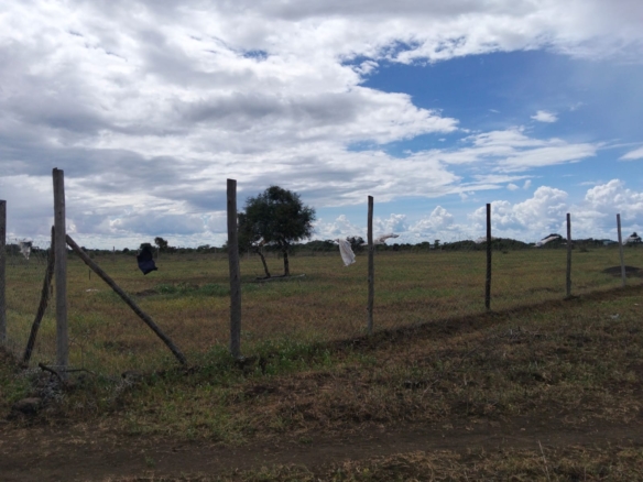 10 acres land for sale in Kimana Loitoktok with red soil near tarmac ideal for farming lodge or holiday home