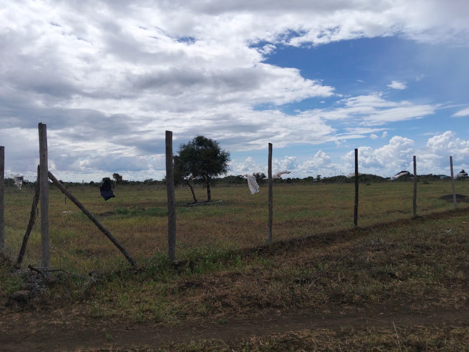 10 acres land for sale in Kimana Loitoktok with red soil near tarmac ideal for farming lodge or holiday home