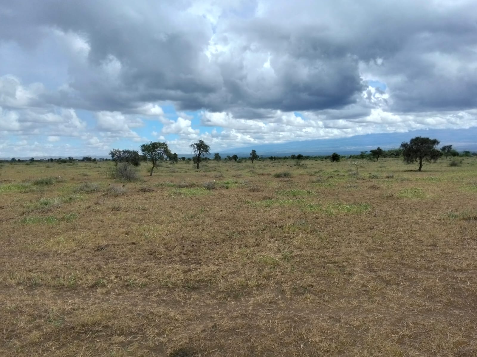 10 acres land for sale in Kimana Loitoktok with red soil near tarmac ideal for farming lodge or holiday home
