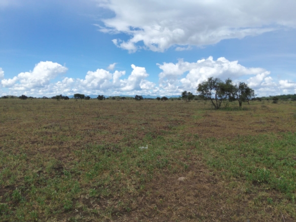 10 acres land for sale in Kimana Loitoktok with red soil near tarmac ideal for farming lodge or holiday home
