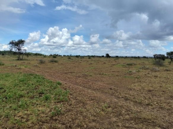 10 acres land for sale in Kimana Loitoktok with red soil near tarmac ideal for farming lodge or holiday home