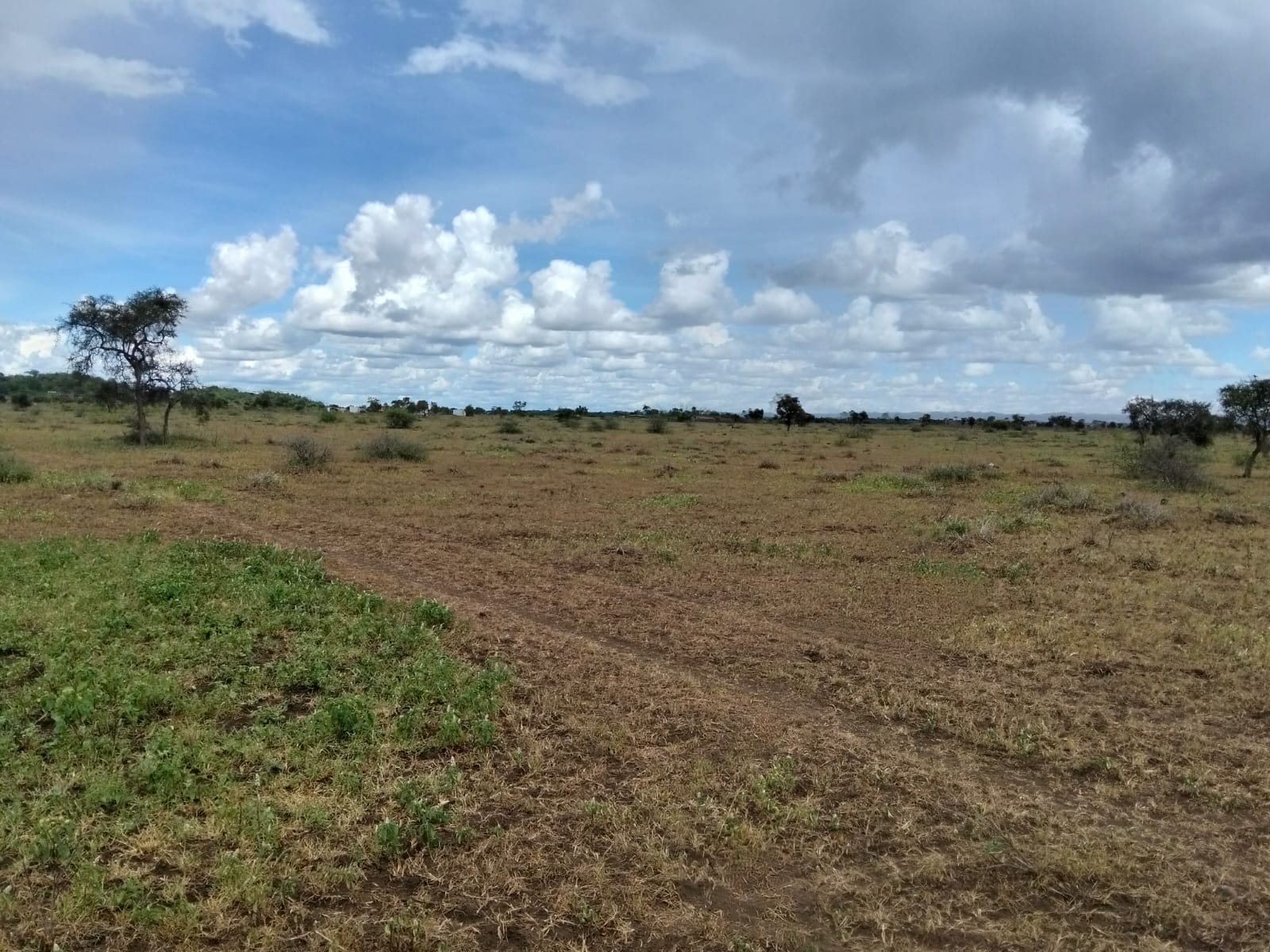 10 acres land for sale in Kimana Loitoktok with red soil near tarmac ideal for farming lodge or holiday home
