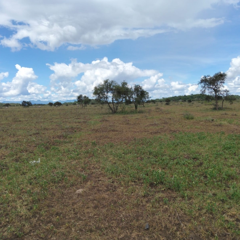 10 acres land for sale in Kimana Loitoktok with red soil near tarmac ideal for farming lodge or holiday home