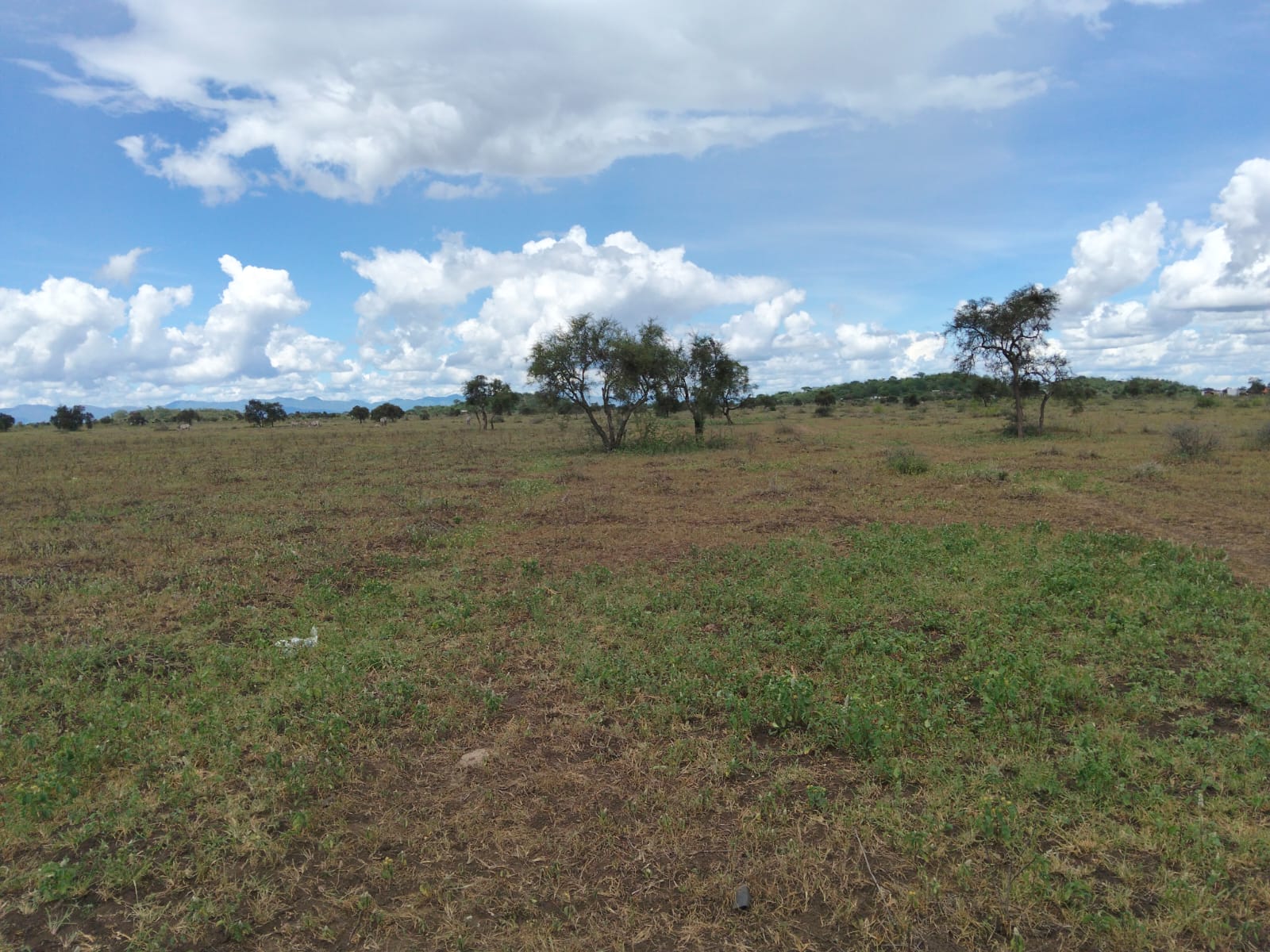 10 acres land for sale in Kimana Loitoktok with red soil near tarmac ideal for farming lodge or holiday home