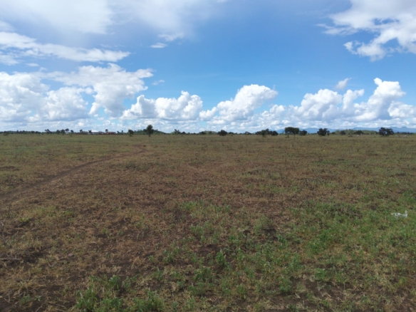 10 acres land for sale in Kimana Loitoktok with red soil near tarmac ideal for farming lodge or holiday home