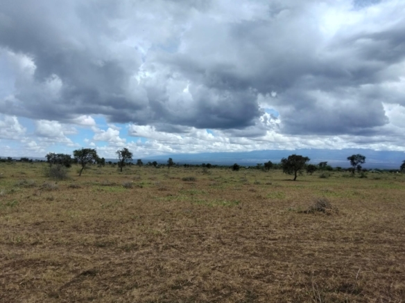 10 acres land for sale in Kimana Loitoktok with red soil near tarmac ideal for farming lodge or holiday home