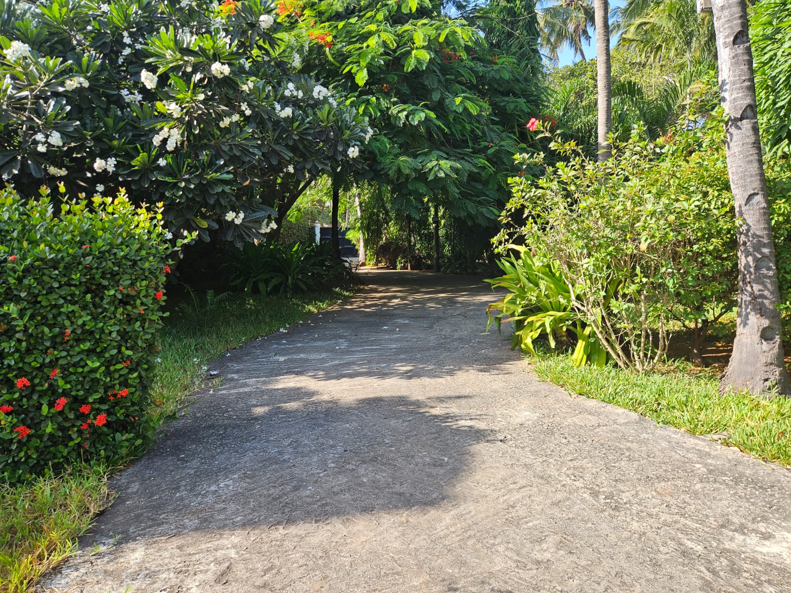 2 bedroom short stay house in Watamu Kenya serene environment near beach at 12k per night