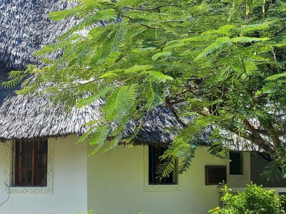 3 bedroom short stay villa in Mambrui with swimming pool near beach at 10k per night Kenya