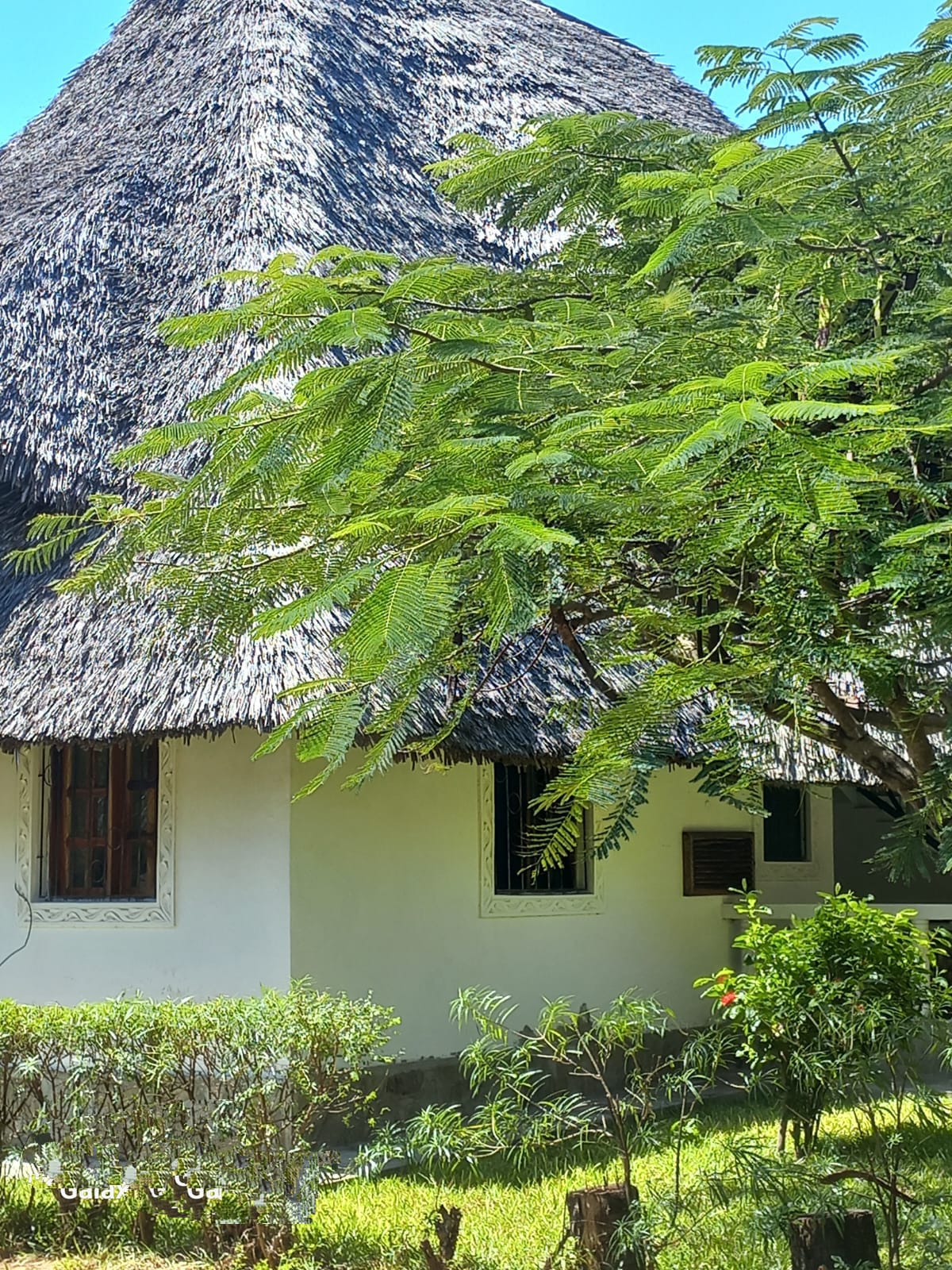 3 bedroom short stay villa in Mambrui with swimming pool near beach at 10k per night Kenya