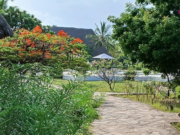 3 bedroom short stay villa in Mambrui with swimming pool near beach at 10k per night Kenya