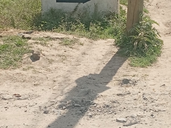 50 by 100 plot for sale in Kitengela Noonkopir with freehold title near town Kenya