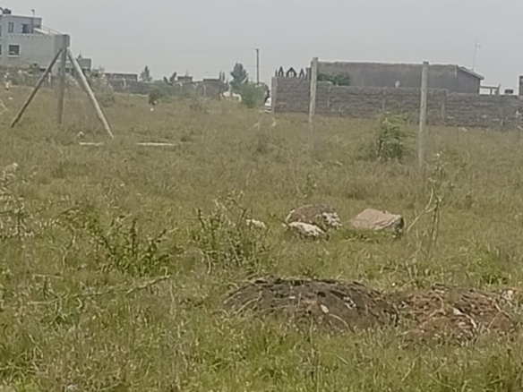 50 by 100 plot for sale in Kitengela Noonkopir with freehold title near town Kenya