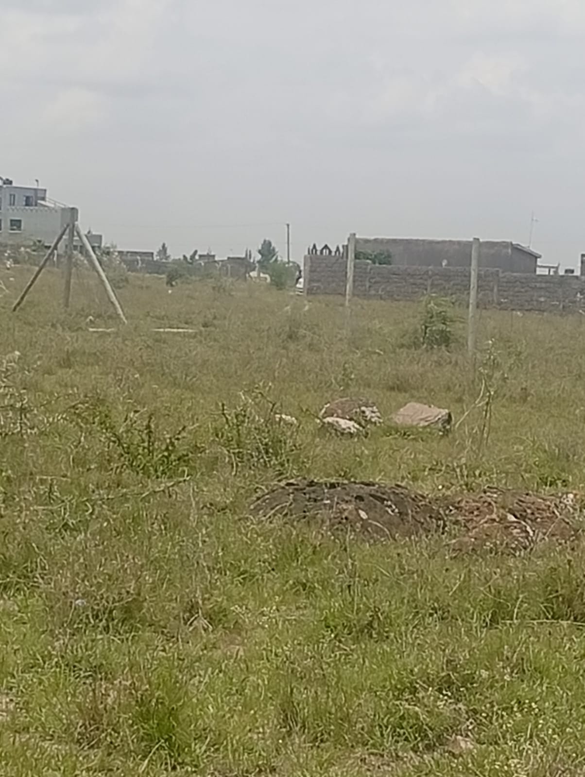 50 by 100 plot for sale in Kitengela Noonkopir with freehold title near town Kenya