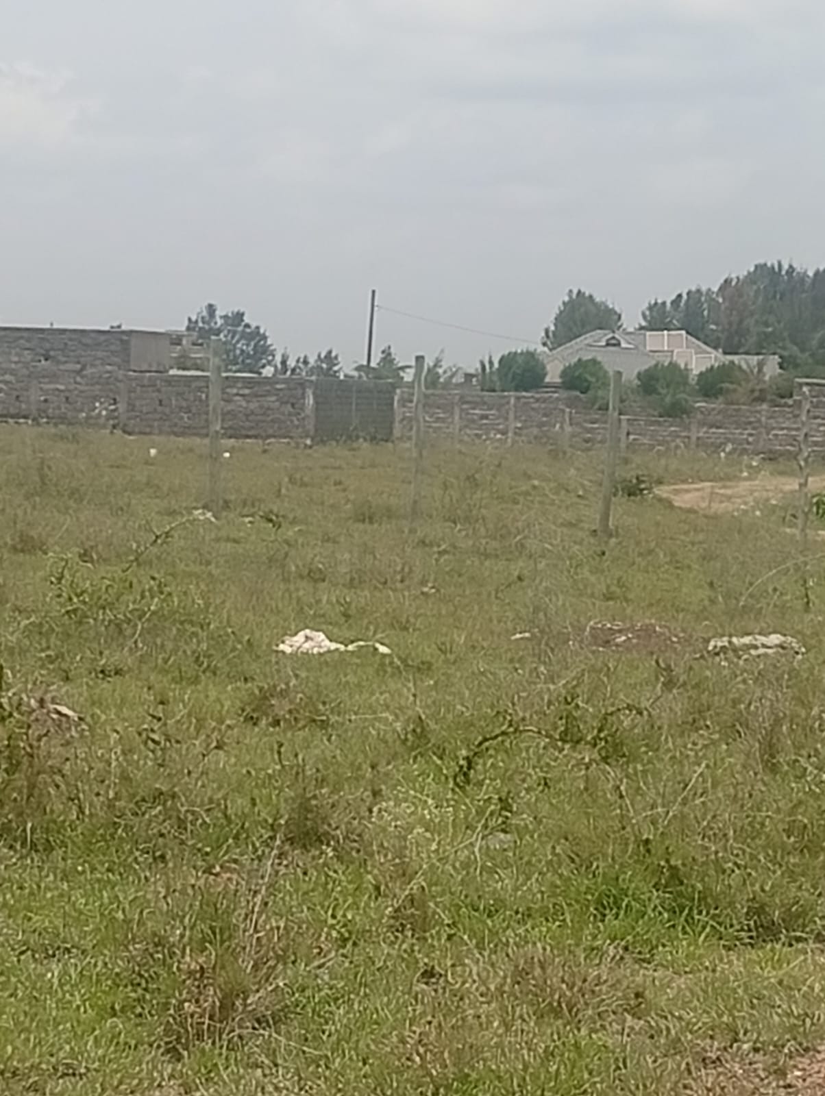 50 by 100 plot for sale in Kitengela Noonkopir with freehold title near town Kenya
