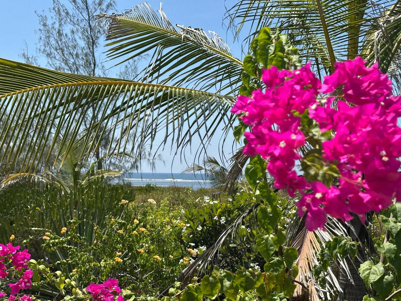 luxury 5 bedroom beachfront house on 4 acres for sale in Watamu near Lonno Lodge Kenya