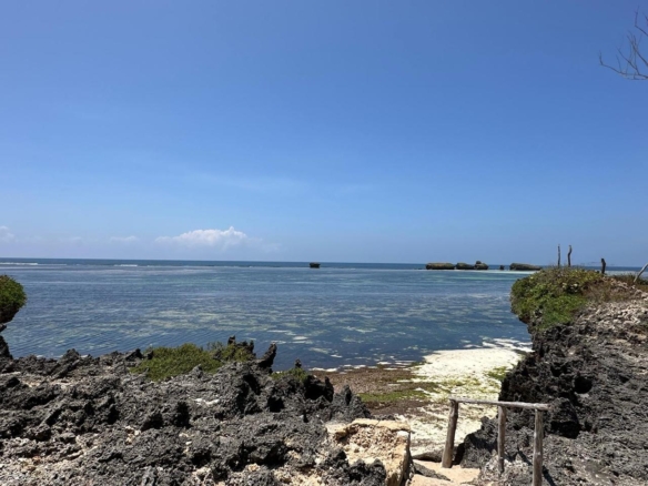 luxury 5 bedroom beachfront house on 4 acres for sale in Watamu near Lonno Lodge Kenya