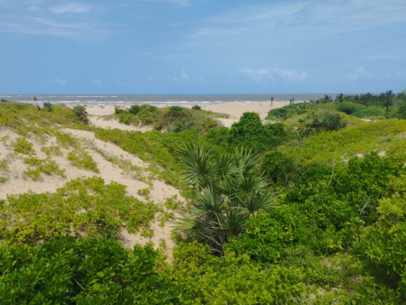 51 acre beachfront land for sale in Ngomeni Malindi Kenya ideal for resort or hotel development