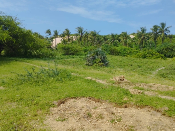 51 acre beachfront land for sale in Ngomeni Malindi Kenya ideal for resort or hotel development