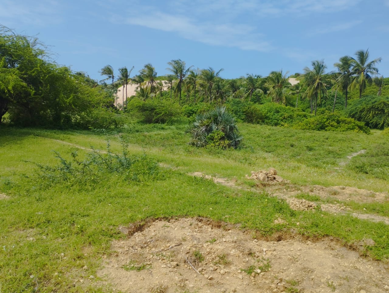 51 acre beachfront land for sale in Ngomeni Malindi Kenya ideal for resort or hotel development