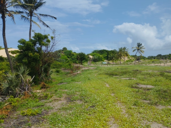 51 acre beachfront land for sale in Ngomeni Malindi Kenya ideal for resort or hotel development