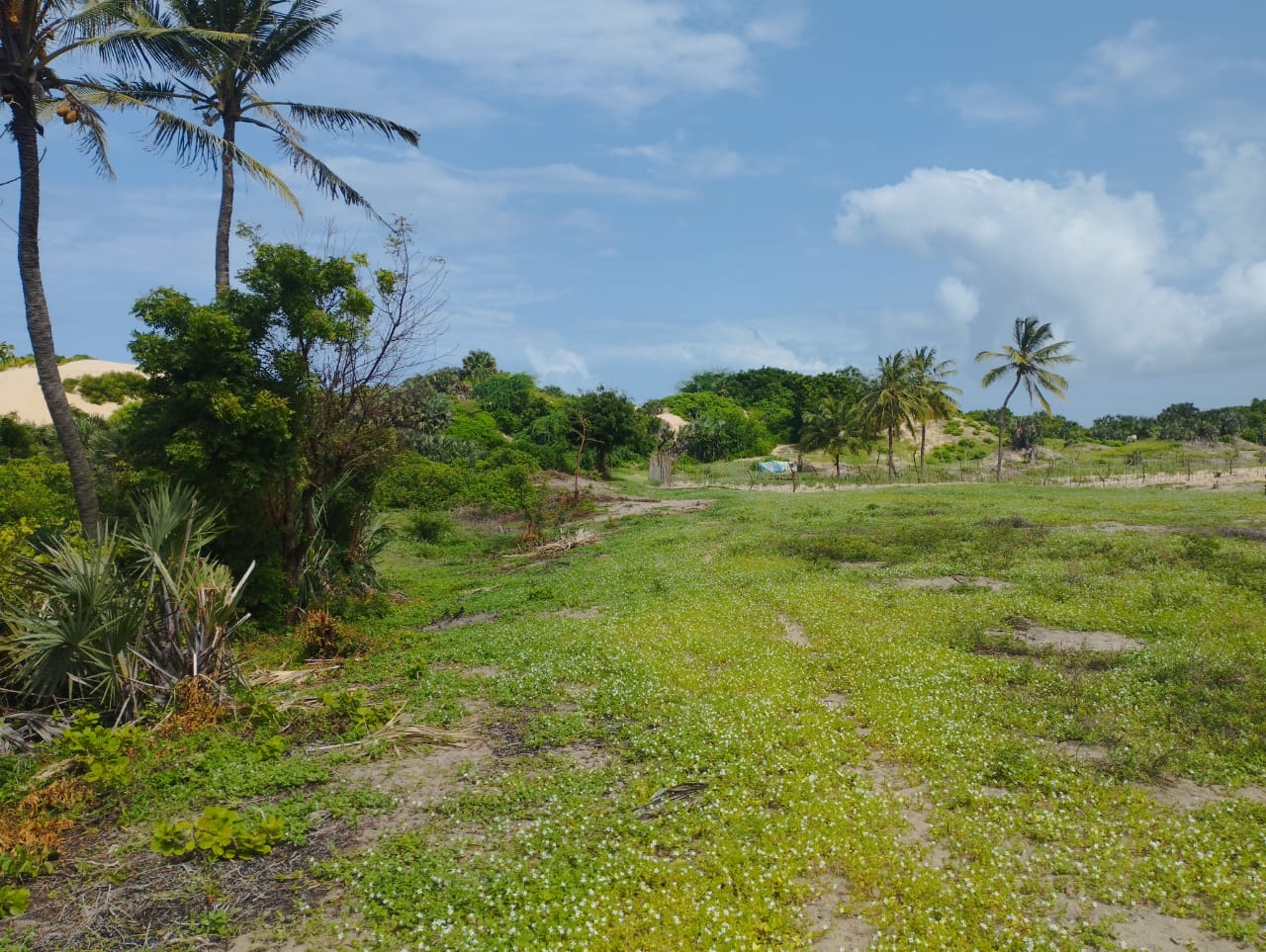 51 acre beachfront land for sale in Ngomeni Malindi Kenya ideal for resort or hotel development