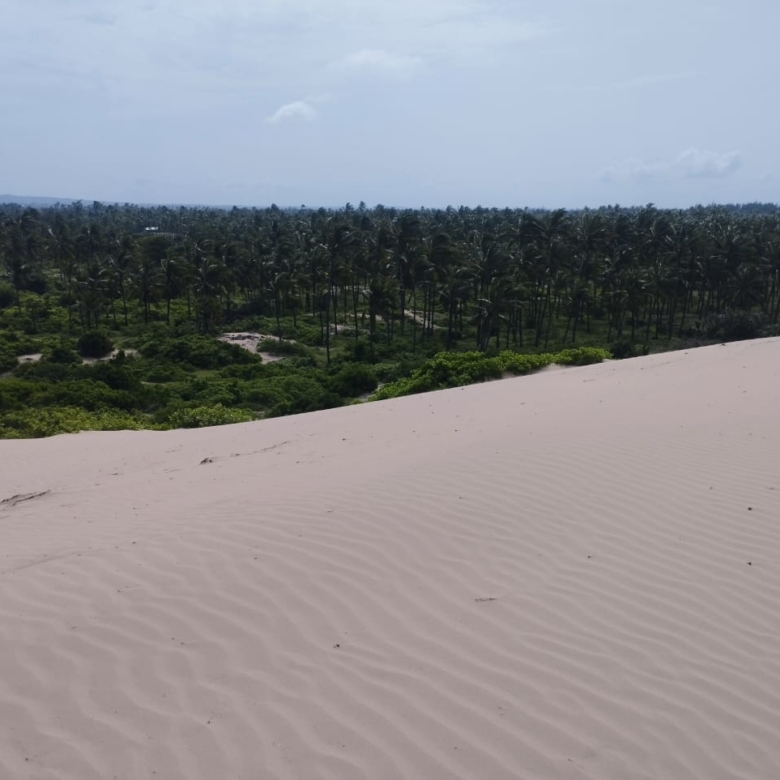 51 acre beachfront land for sale in Ngomeni Malindi Kenya ideal for resort or hotel development