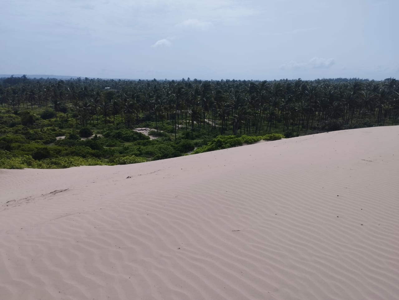 51 acre beachfront land for sale in Ngomeni Malindi Kenya ideal for resort or hotel development