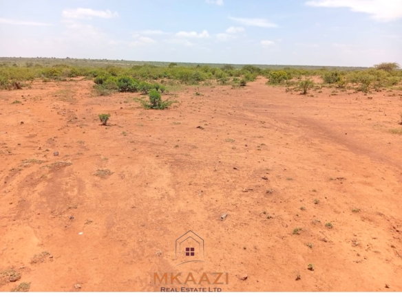 130-acre land for sale in Rumuruti with tarmac road frontage, clean title deeds, and agricultural investment potential.