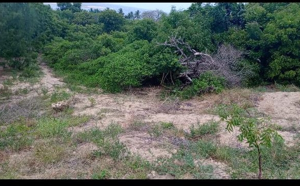 17 Acres for sale in Ngomeni Malindi