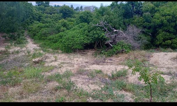 17 Acres for sale in Ngomeni Malindi