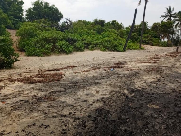 17 Acres for sale in Ngomeni Malindi