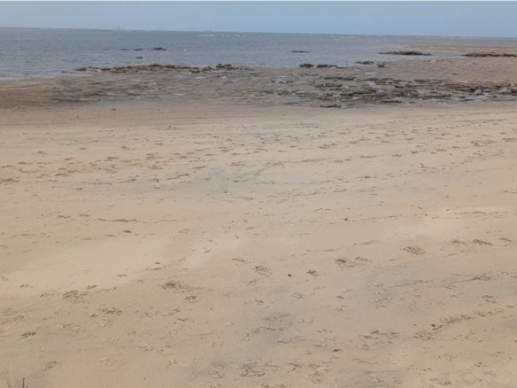 17 Acres for sale in Ngomeni Malindi