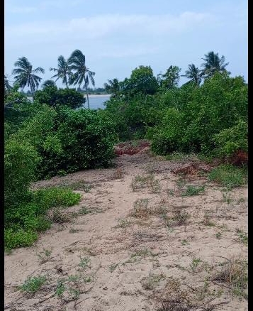17 Acres for sale in Ngomeni Malindi