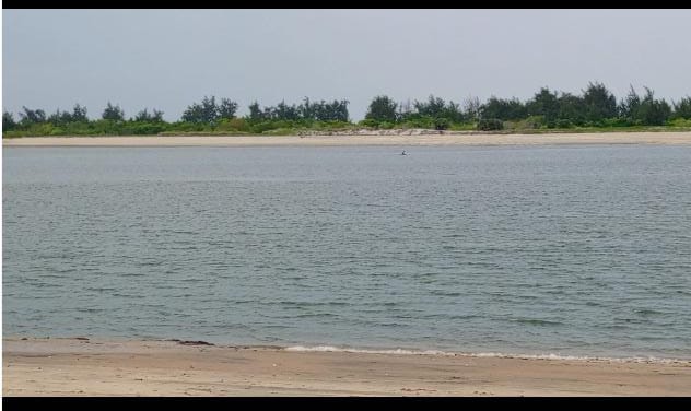 17 Acres for sale in Ngomeni Malindi