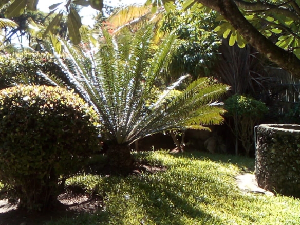 4 bedroom villa with SQ for rent in Kibokoni Malindi with pool garden and near beach