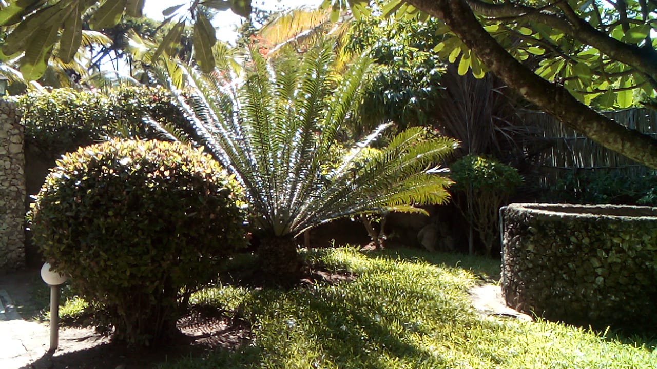 4 bedroom villa with SQ for rent in Kibokoni Malindi with pool garden and near beach