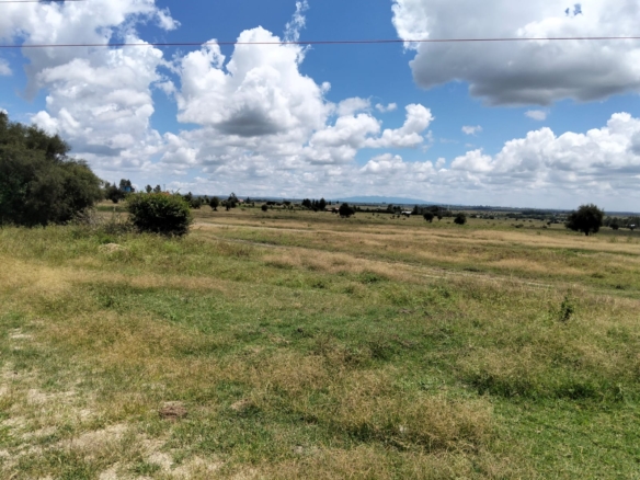 Prime 50-acre road frontage land for sale in Kitengela Kisaju ideal for industrial, commercial, residential estate, and mixed-use development with ready title deed.